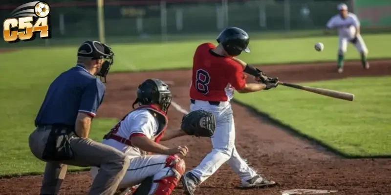 Lưu ý quan trọng khi tham gia cá cược bóng chày MLB C54