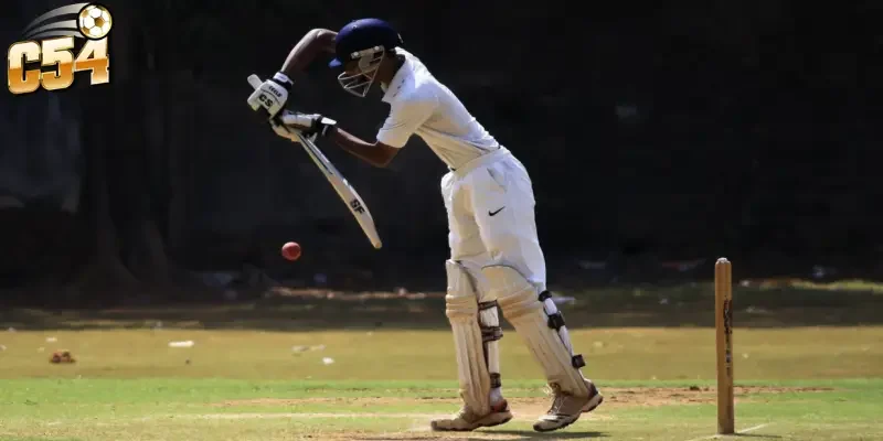 Tổng quan giải đấu và sức hút cá cược cricket World Cup C54
